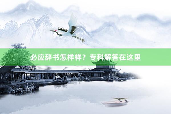 必应辞书怎样样？专科解答在这里