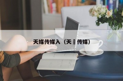 天媒传媒入（天犇传媒）