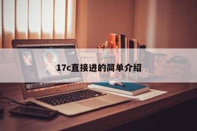 17c直接进的简单介绍