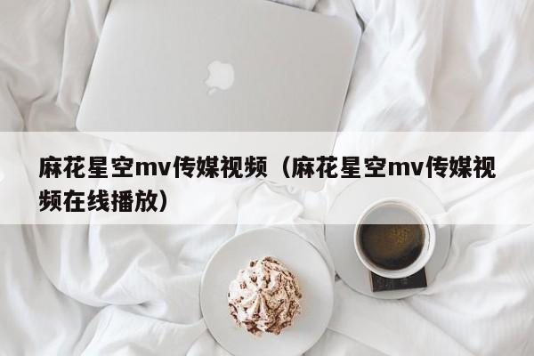 麻花星空mv传媒视频(麻花星空mv传媒视频在线播放)